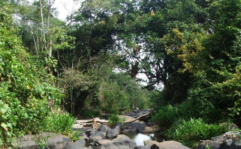 Região Serrana dos Quilombos atrai turistas