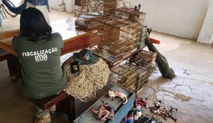 IMA resgata mais de 850 animais em operações conjuntas da mata atlântica à caatinga