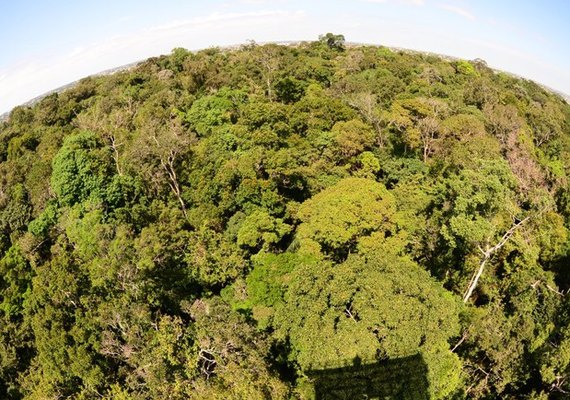 Venha curtir os atrativos da maior Floresta do mundo com o Turismo de Experiência