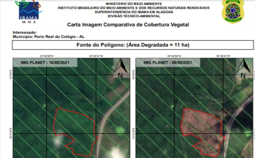 MPF ajuíza ação por desmatamento em área protegida na Terra Indígena Kariri-Xocó, em Alagoas