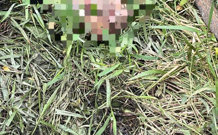 Cabeça de adolescente desaparecido é localizada em açude no Salvador Lyra