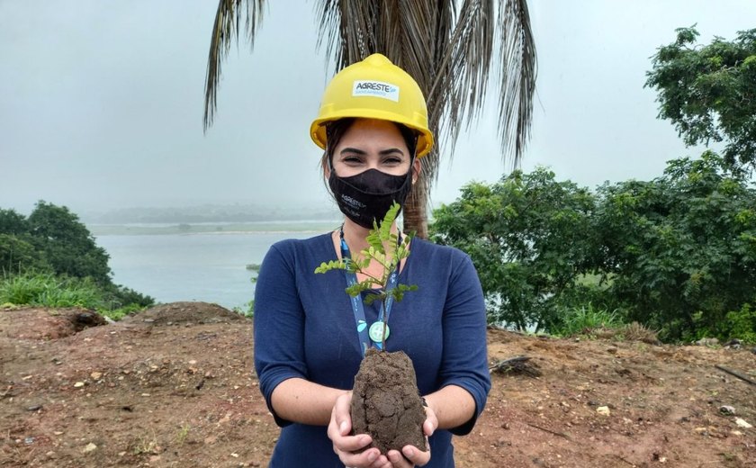 Plantio de árvores nativas celebra Dia Mundial do Meio Ambiente