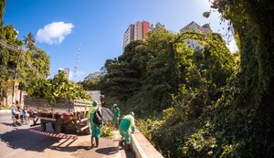 Alurb faz manutenção em árvores da Ladeira Geraldo Melo