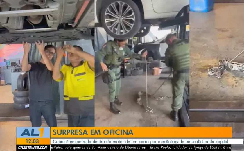 Jiboia é encontrada dentro do motor de carro durante reparo em oficina de Maceió