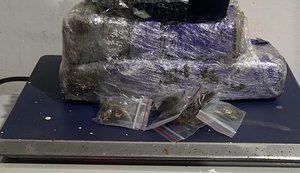 PM apreende arma, drogas e recupera moto com queixa de roubo em ações no Agreste