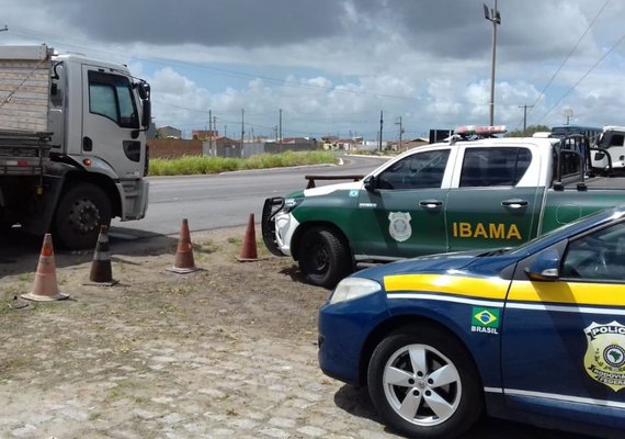 PRF/AL realiza ação integrada com Ibama para fiscalizar caminhões em trechos da BR-101