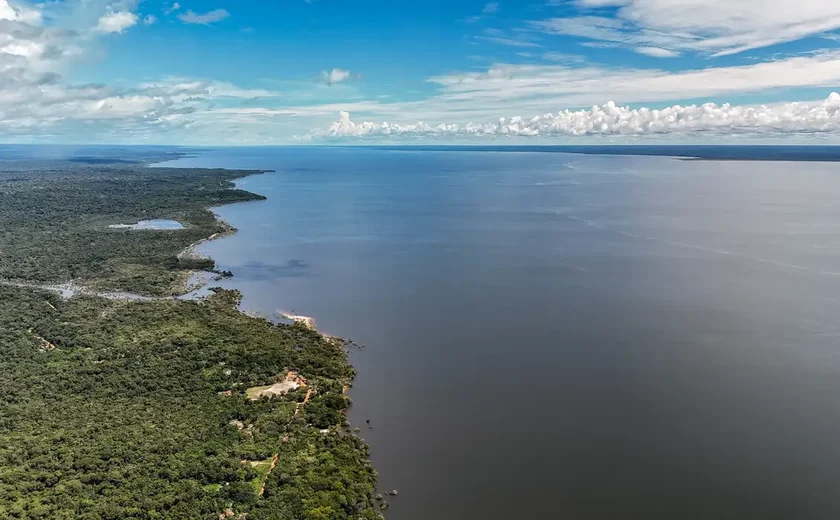 Veja os planos de governo de Flávio Bolsonaro e Lula para meio ambiente e clima