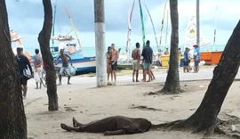 Pescador é assassinado a tiros na orla da Pajuçara, em Maceió
