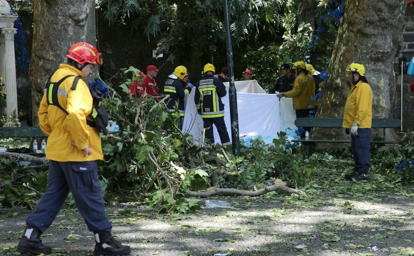 Queda de árvore deixa 12 mortos e 50 feridos em Portugal