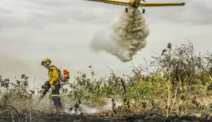 Pantanal: redução da área alagada tem favorecido aumento de incêndios