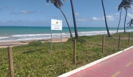 Salsa Viva: projeto de revitalização já cercou 230 mil m² de áreas costeiras