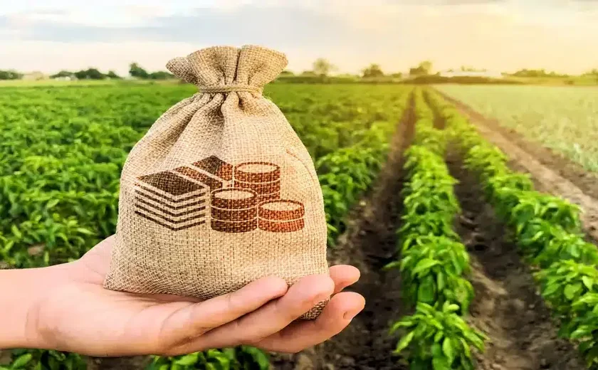 Financiamentos para indústria e agroindústria crescem 150% em Alagoas