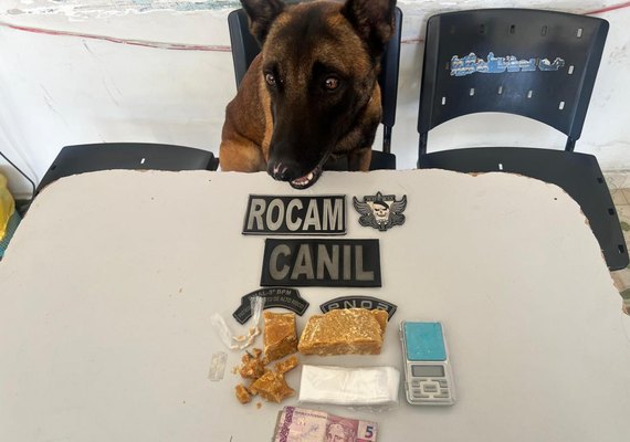 PM flagra tráfico de drogas durante ocorrências em Arapiraca e Piranhas