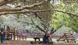 Prefeito de São Paulo sanciona lei que proíbe fumo em parques públicos