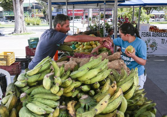 Última feira agroecológica do ano com sorteio de mudas e vale-compras