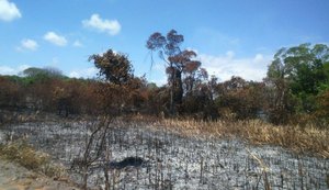 IMA investiga causa de incêndio que atingiu mata na APA de Santa Rita em Marechal