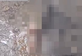 Seis ovelhas são encontradas mortas  na zona rural e caso intriga moradores de Atalaia