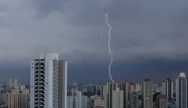 SP registra desabamentos e quedas de árvore por chuva forte