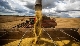 Queda no preço dos alimentos vai permanecer, diz ministro