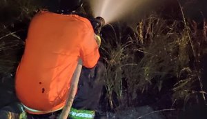 Vegetação seca provoca incêndios no Litoral Norte de Alagoas