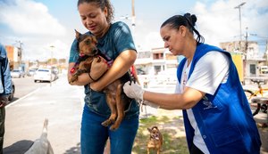 Saúde de Maceió imuniza mais de 30 mil animais no primeiro dia de vacinação antirrábica