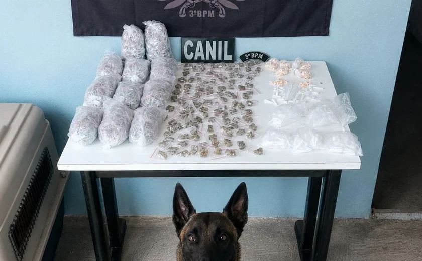Cães da PM encontram drogas escondidas em área de mata em Arapiraca