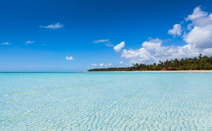Turismo sustentável cresce em Alagoas e atrai turistas do mundo inteiro
